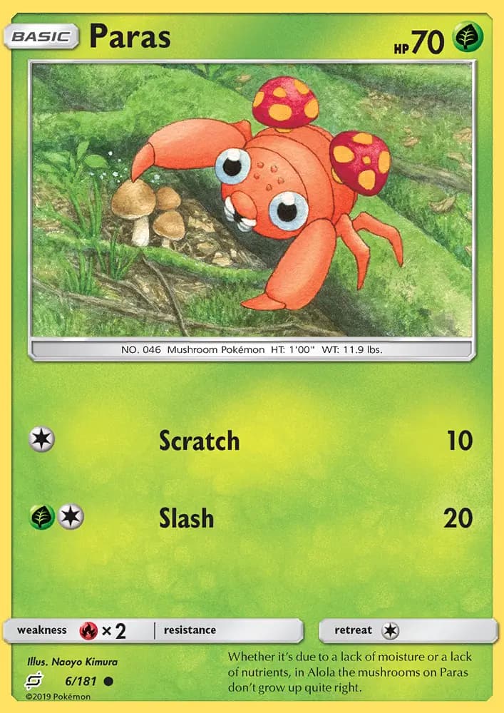 Paras #6 — Team Up