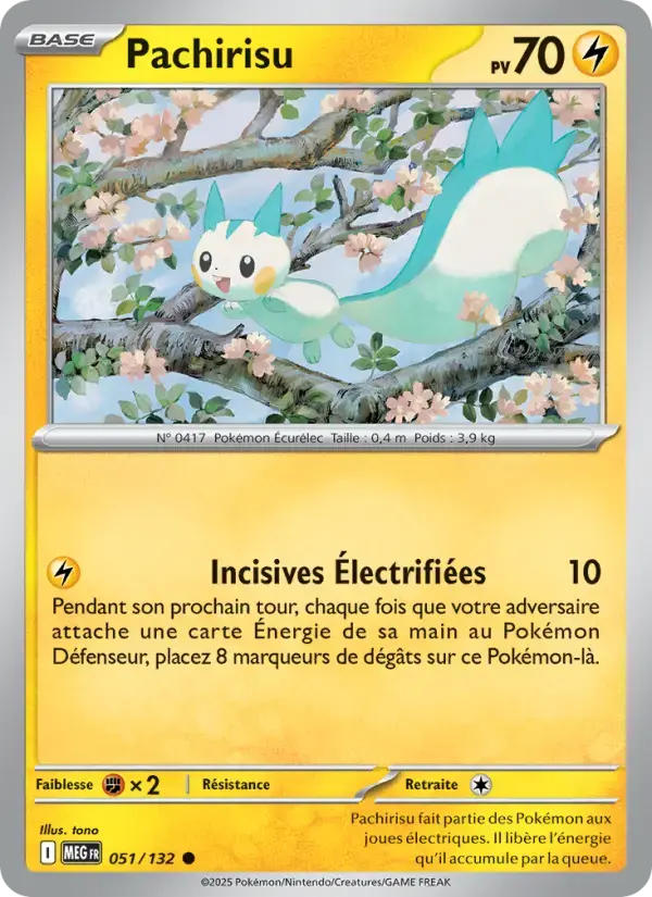 Carte Pokémon Pachirisu #051 — Méga-Évolution