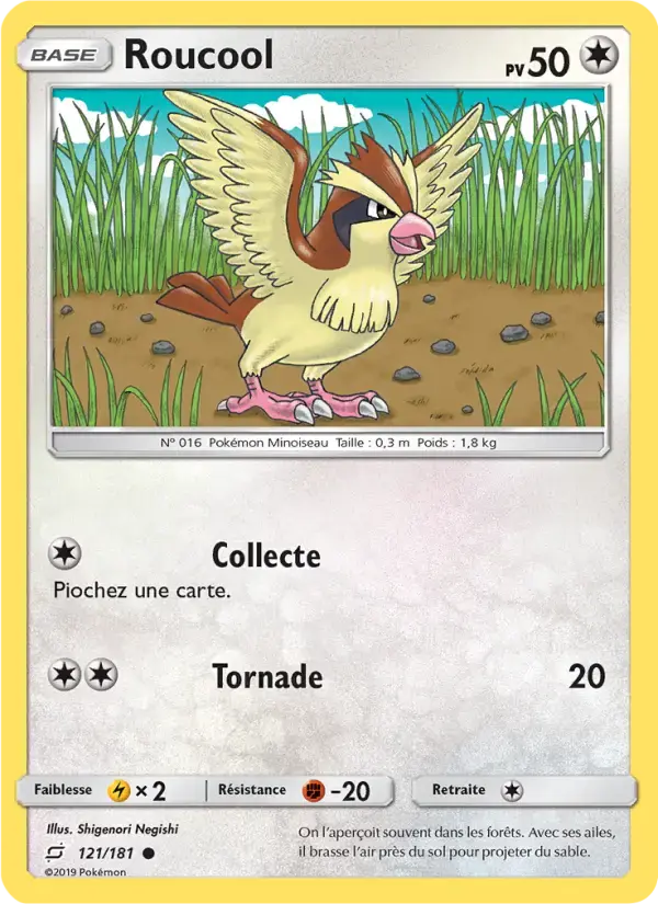 Carte Pokémon Roucool #121 — Duo de Choc