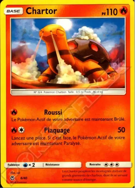 Carte Pokémon Machoc #6 — 2018 Promo McDonald's International