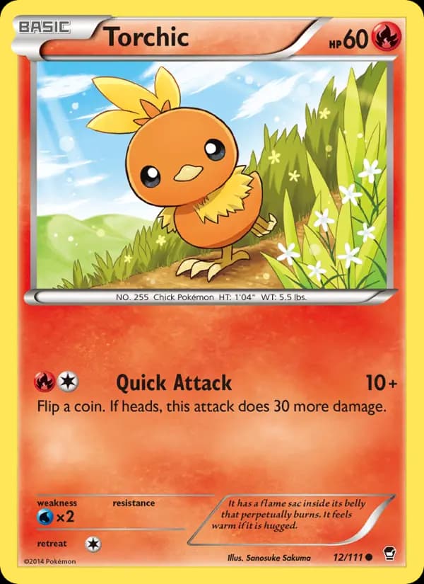 Torchic #12 — Furious Fists