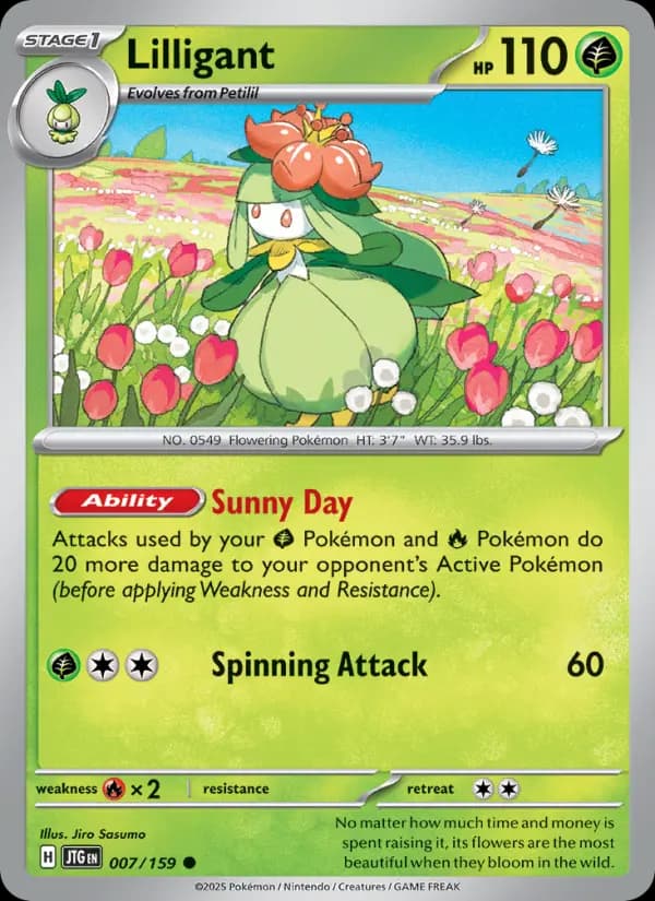 Carte Pokémon Fragilady #007 — Aventures Ensemble
