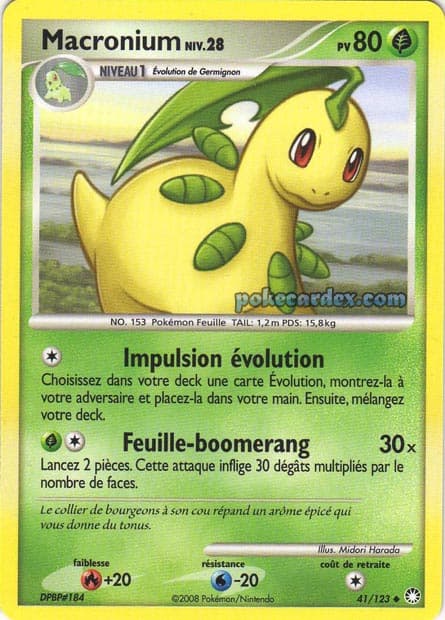 Carte Pokémon Macronium #41 — Trésors Mystérieux