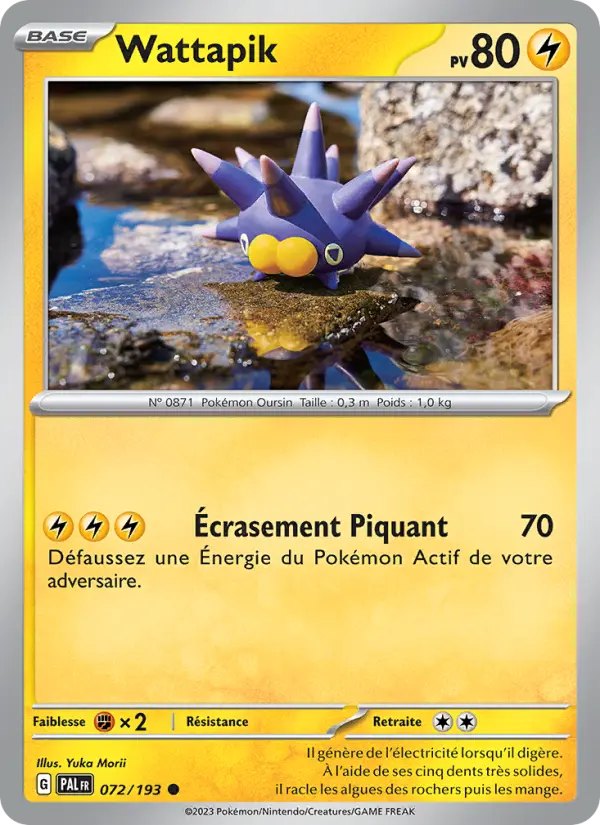 Carte Pokémon Wattapik #072 — Évolutions à Paldea