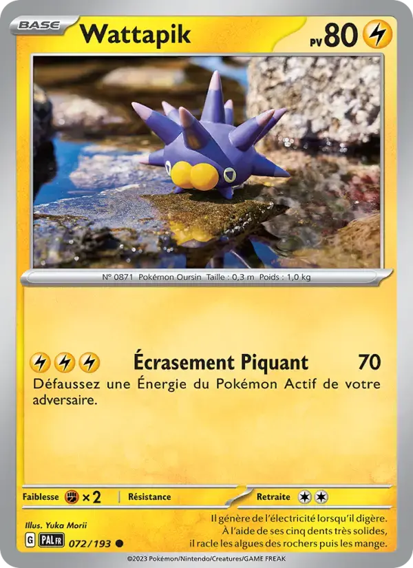 Carte Pokémon Wattapik #072 — Évolutions à Paldea