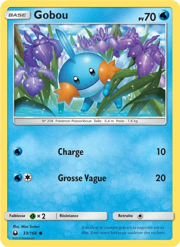 Carte Pokémon Gobou #33 — Tempête Céleste