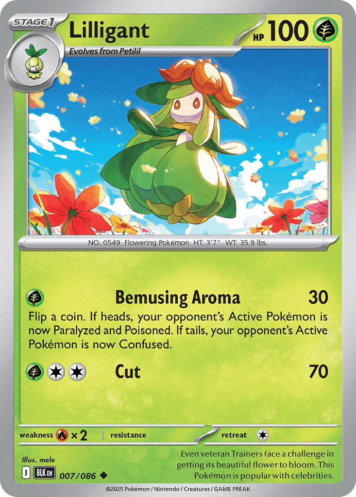 Carte Pokémon Fragilady #007 — Foudre Noire