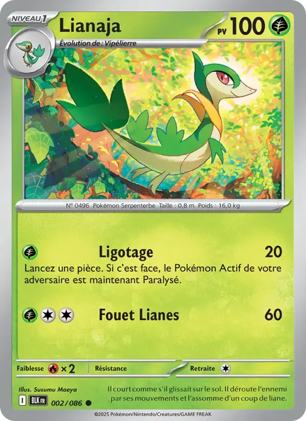 Carte Pokémon Lianaja #002 — Foudre Noire