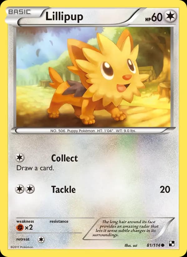 Lillipup #81 — Black & White