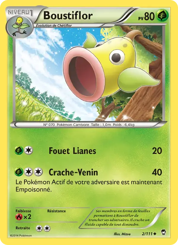 Carte Pokémon Boustiflor #2 — Poings Furieux