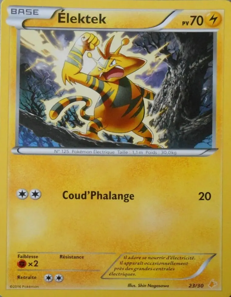 Carte Pokémon Élektek #23 — Kit du Dresseur XY (Pikachu Catcheur)