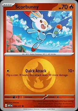 Scorbunny #036 Non Holo — Ascended Heroes