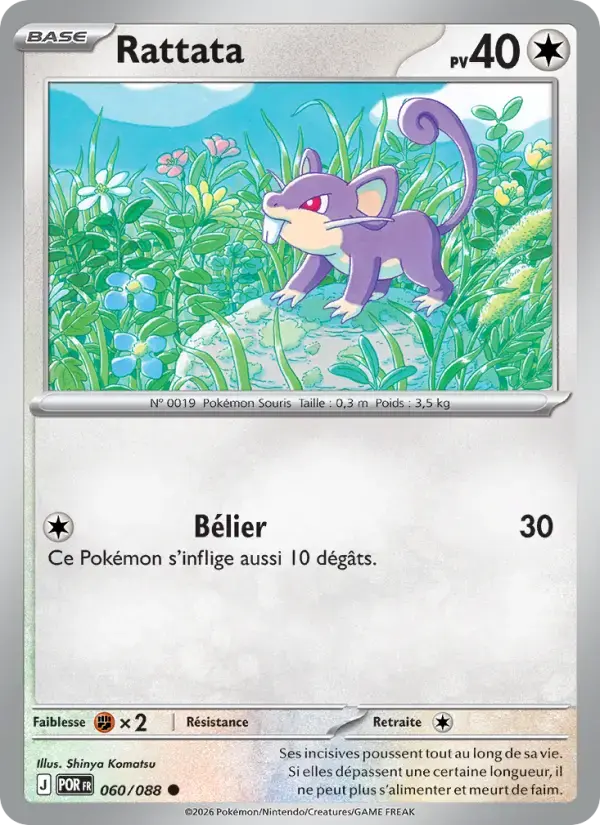 Carte Pokémon Rattata #060 — Équilibre Parfait