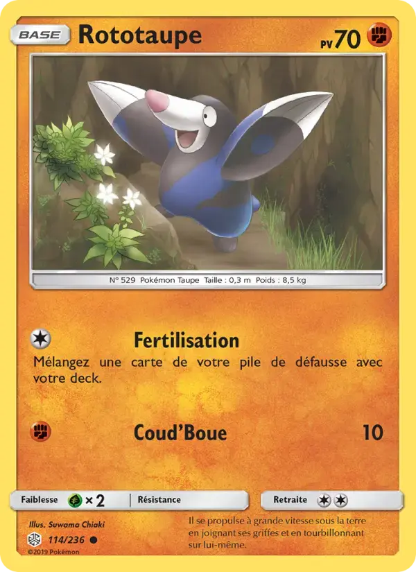 Carte Pokémon Rototaupe #114 — Éclipse Cosmique
