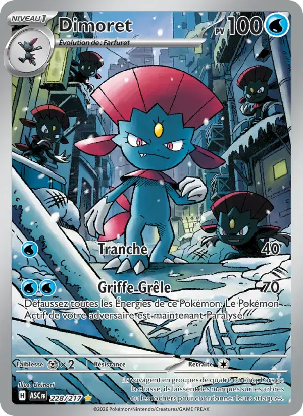 Carte Pokémon Dimoret #228 — Héros Transcendants