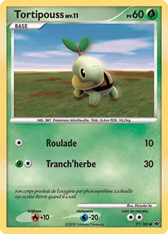 Carte Pokémon Tortipouss #77 — Aube Majestueuse