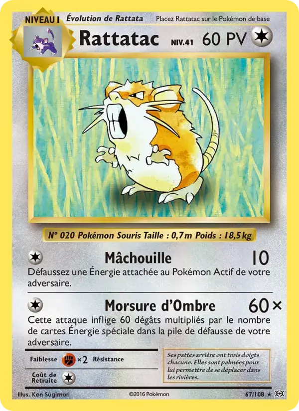 Carte Pokémon Rattatac #67 — Évolutions XY