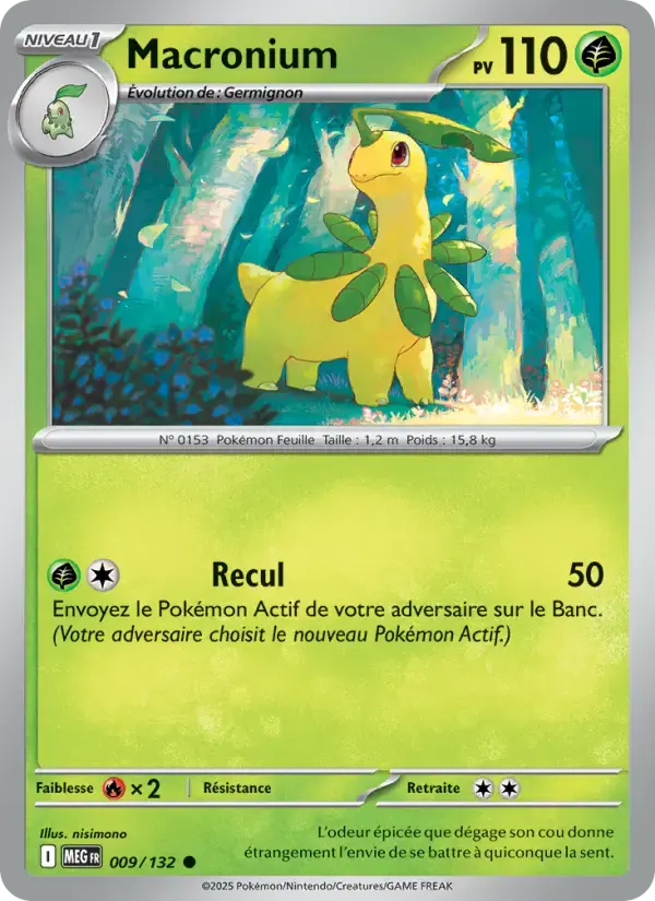 Carte Pokémon Macronium #009 — Méga-Évolution