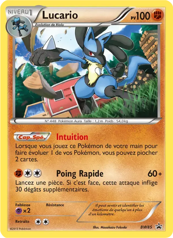 Carte Pokémon Lucario #BW85 — Promos Noir et Blanc