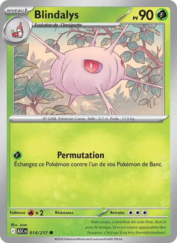 Carte Pokémon Blindalys #014 — Héros Transcendants