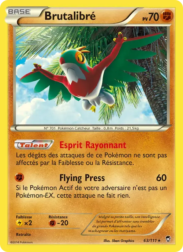 Carte Pokémon Brutalibré #63 — Poings Furieux