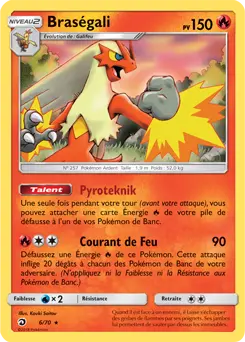 Carte Pokémon Braségali #6 — Majesté des Dragons