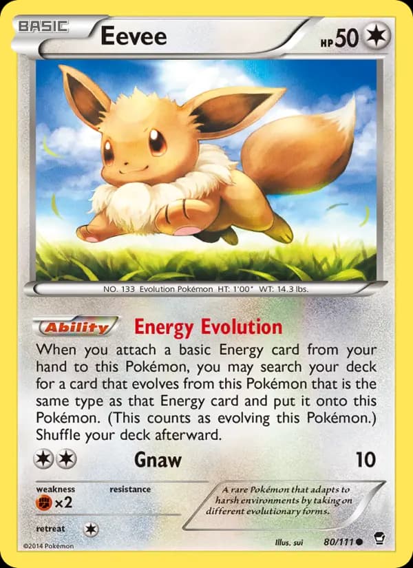 Eevee #80 — Furious Fists