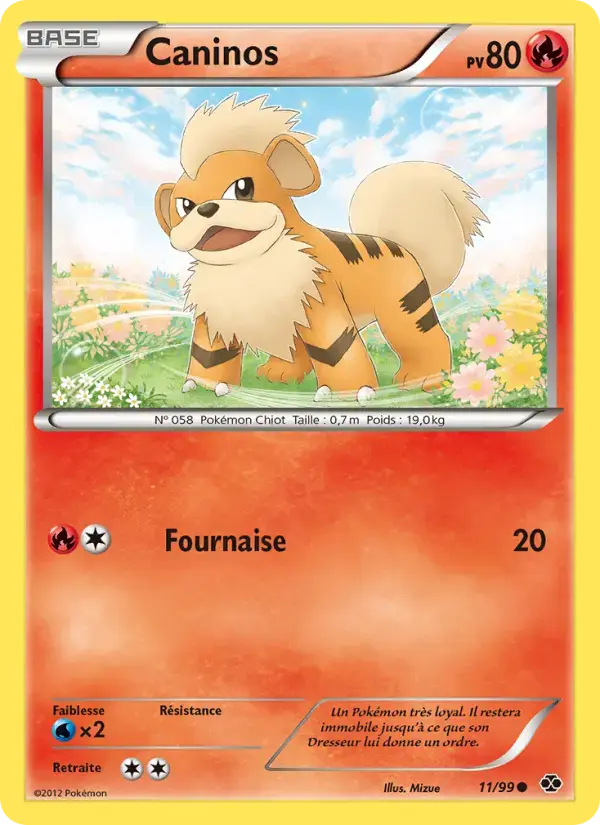 Carte Pokémon Caninos #11 — Destinées Futures
