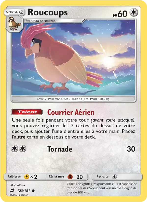 Carte Pokémon Roucoups #123 — Duo de Choc