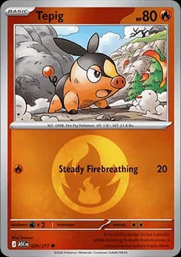 Tepig #029 Non Holo — Ascended Heroes