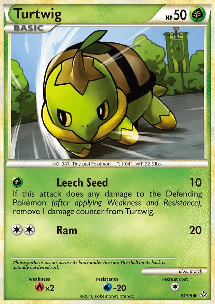 Turtwig #67 — Unleashed