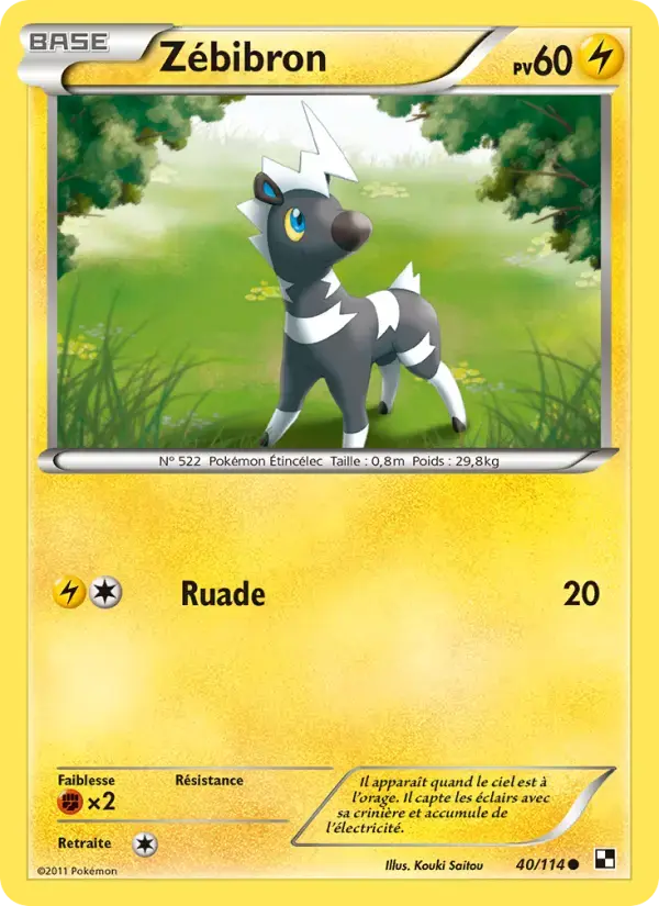 Carte Pokémon Zébibron #40 — Noir et Blanc