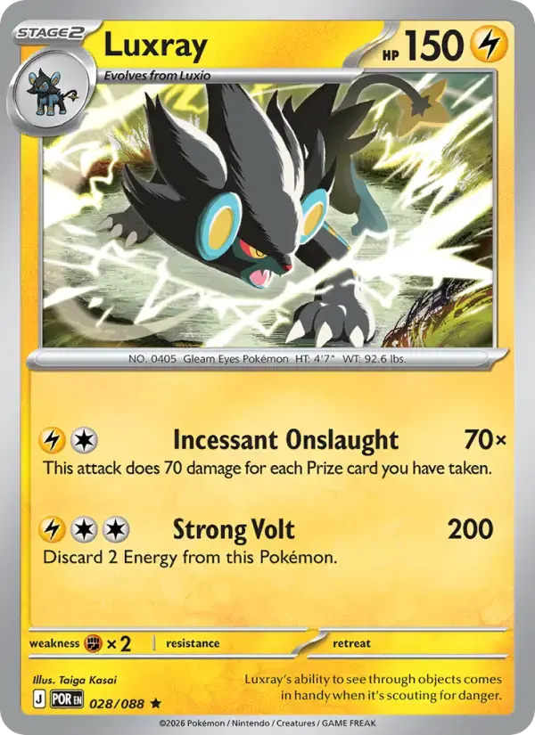 Luxray #028 — Perfect Order