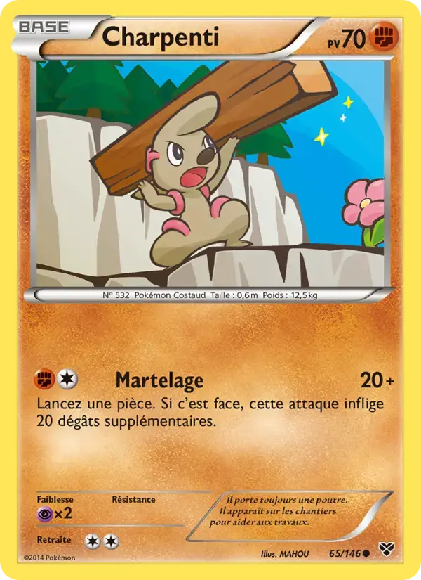 Carte Pokémon Charpenti #65 — XY