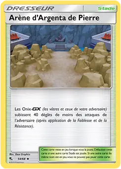 Carte Pokémon Arène d’Argenta de Pierre #54 — Destinées Occultes