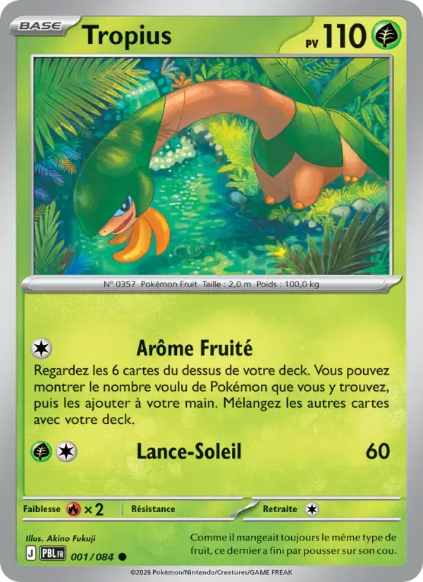 Carte Pokémon Tropius #001 — Nuit Noire