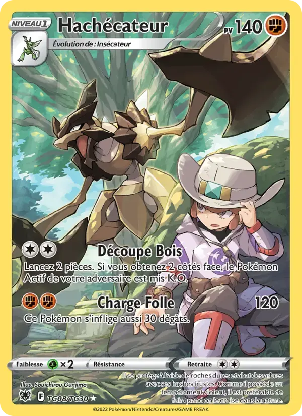Carte Pokémon Hachécateur #TG08 — Astres Radieux
