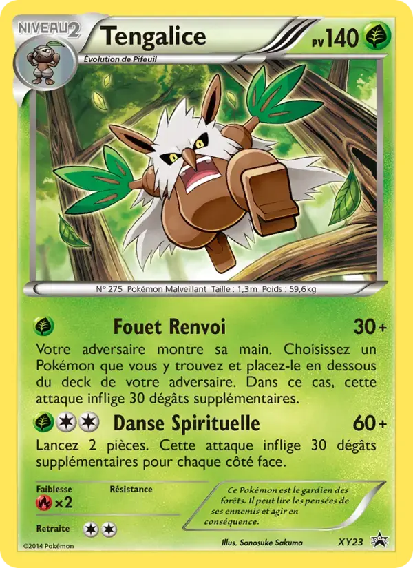 Carte Pokémon Tengalice #XY23 — Promos X&Y