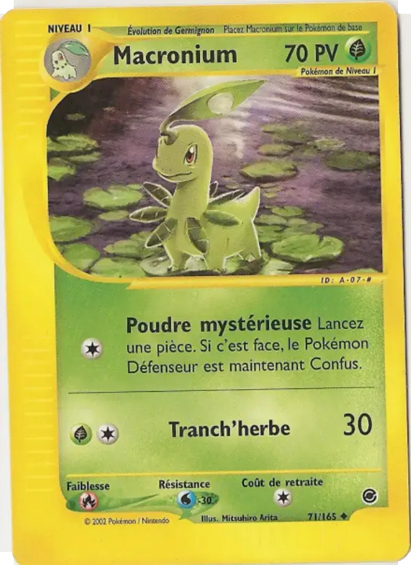 Carte Pokémon Macronium #71 — Expédition