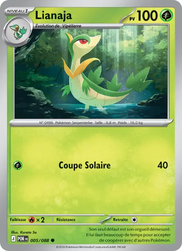 Carte Pokémon Lianaja #005 — Équilibre Parfait
