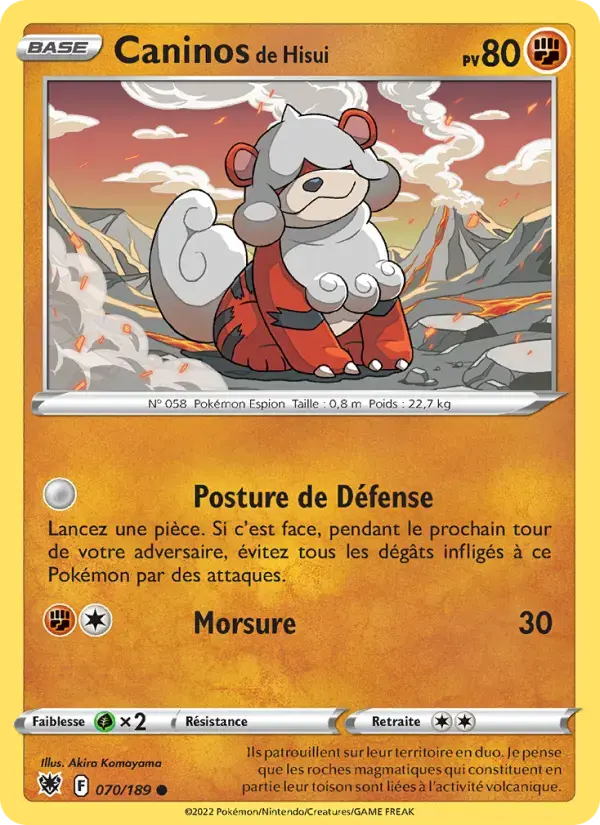 Carte Pokémon Caninos de Hisui #070 — Astres Radieux