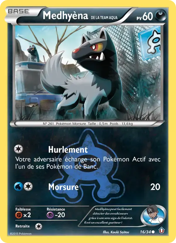Carte Pokémon Medhyèna de la Team Aqua #16 — Double Danger