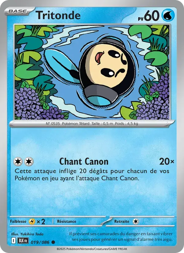 Carte Pokémon Tritonde #019 — Foudre Noire