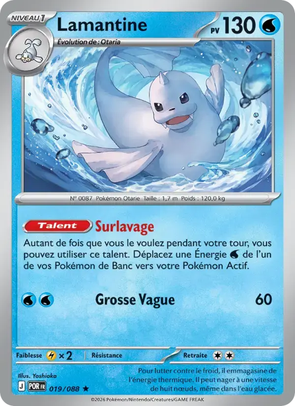 Carte Pokémon Lamantine #019 — Équilibre Parfait