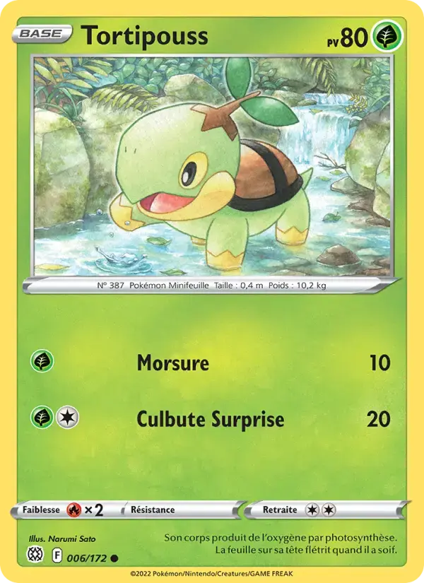 Carte Pokémon Tortipouss #006 — Stars Étincelantes