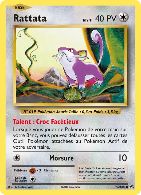 Carte Pokémon Rattata #66 — Évolutions XY