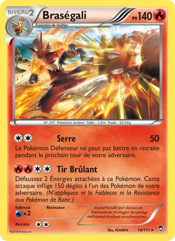 Carte Pokémon Braségali #14 — Poings Furieux