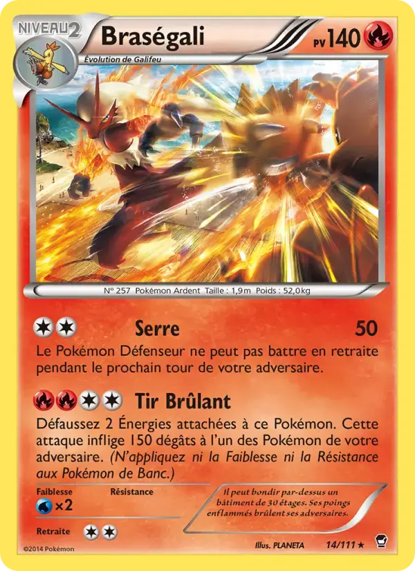 Carte Pokémon Braségali #14 — Poings Furieux