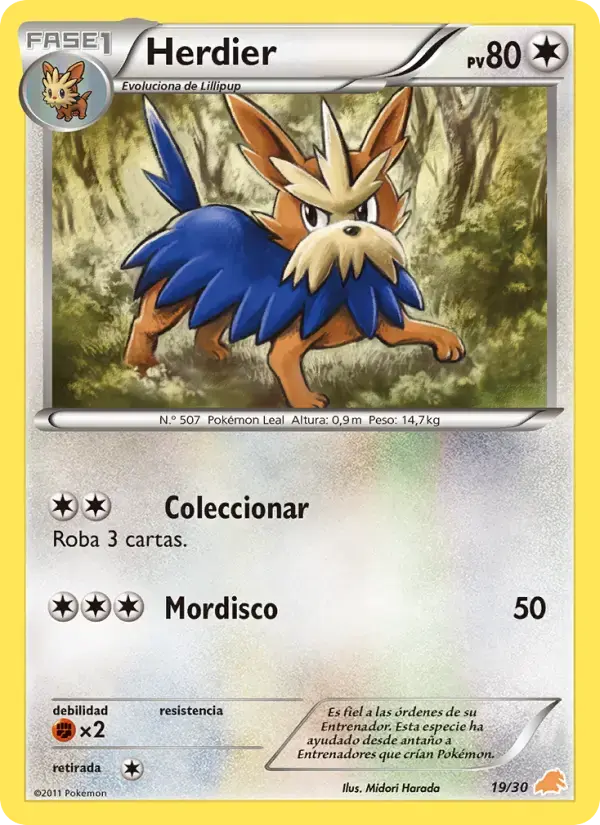 Herdier #19 — BW Trainer Kit (Excadrill)