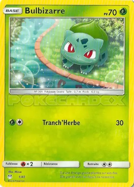 Carte Pokémon Chenipan #1 — 2019 Promo McDonald's International